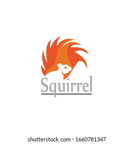 Squirrel image logo symbol vector illustration on white background