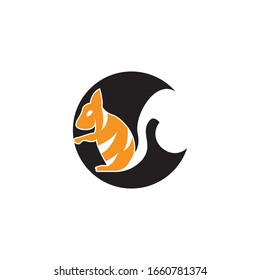 Squirrel image logo symbol vector illustration on white background