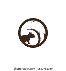 Squirrel image logo symbol vector illustration on white background