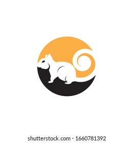 Squirrel image logo symbol vector illustration on white background