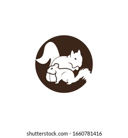 Squirrel image logo symbol vector illustration on white background