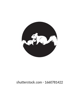 Squirrel image logo symbol vector illustration on white background