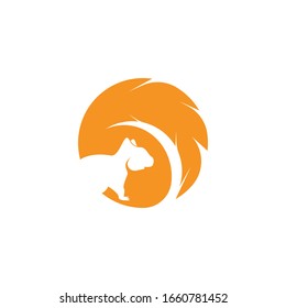Squirrel image logo symbol vector illustration on white background