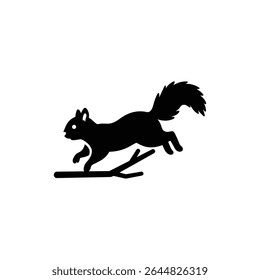 Squirrel Jumping from Branch, Forest Action and Wildlife