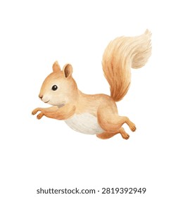 Squirrel jumping through the air freely