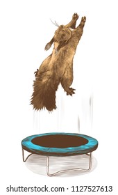 squirrel jumps on a trampoline and flies up, sketch vector graphics color illustration on white background