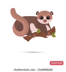 Squirrel lemur color flat icon