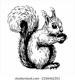 Squirrel line art sketch. Black and white vector illustration. Cute hand drawn animals.