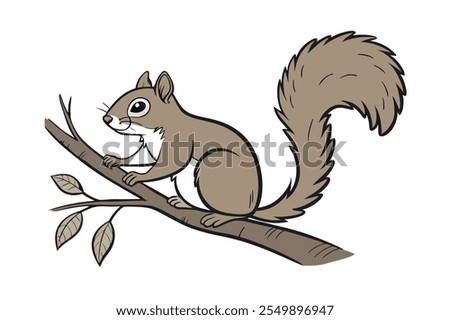 Squirrel Line Art Vector Illustration