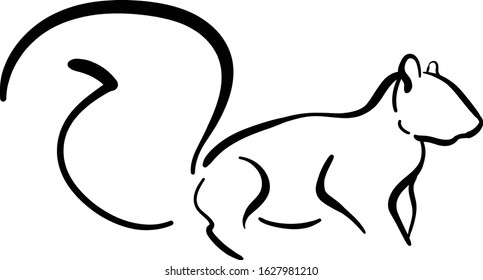 squirrel line drawing, squirre lillustration with line. black and white