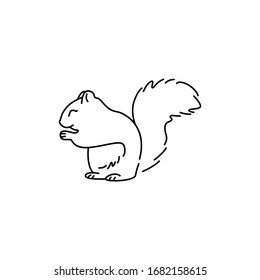 Squirrel line icon. Isolated on white background