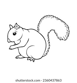 squirrel line vector illustration,isolated on white background,top view