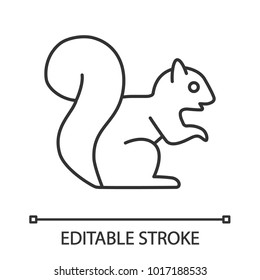 Squirrel linear icon. Thin line illustration. Chipmunk. Contour symbol. Vector isolated outline drawing. Editable stroke