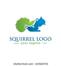 SQUIRREL LOGO.  animal logo with finance concept