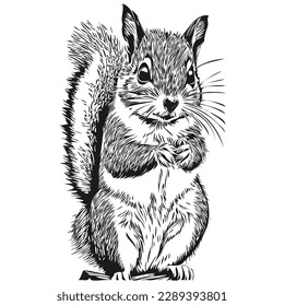 squirrel logo, black and white illustration hand drawing baby squirrel.
