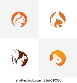 Squirrel Logo - Circle logo - Squirrel face logo
