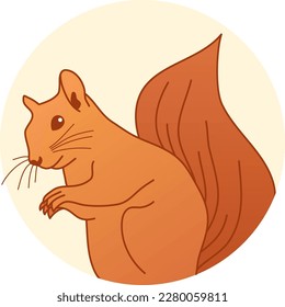 Squirrel logo for company animal vector design, Squirrel illustration