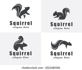 squirrel logo creative set black vector design template