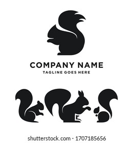 Squirrel Logo Design. Squirrel set Logo Template. Modern Design. Flat Logo. Vector Illustration