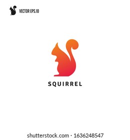 Squirrel logo design template, Vector illustration