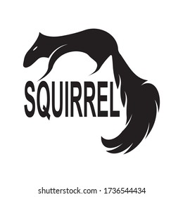 Squirrel logo design template Vector illustration,

