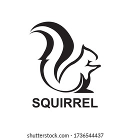 Squirrel logo design template Vector illustration,

