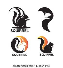 Squirrel logo design template Vector illustration,

