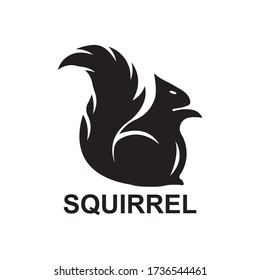 Squirrel logo design template Vector illustration,


