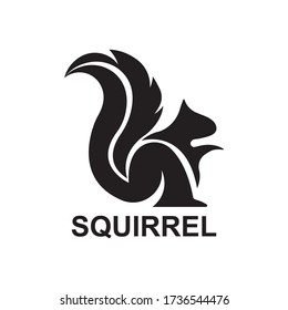 Squirrel logo design template Vector illustration,

