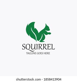 Squirrel logo design template. Vector illustration