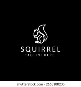 Squirrel logo icon design vector 