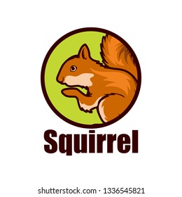 squirrel logo isolated on white background vector illustration
