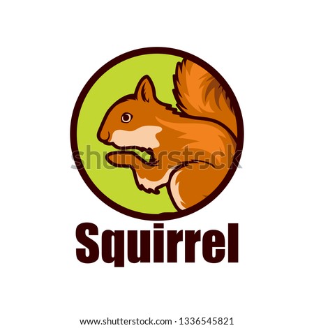 squirrel logo isolated on white background vector illustration
