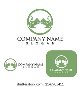  Squirrel  Logo  and Symbol Template vector 