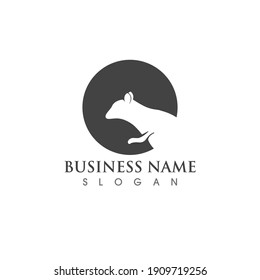Squirrel logo and symbol vector