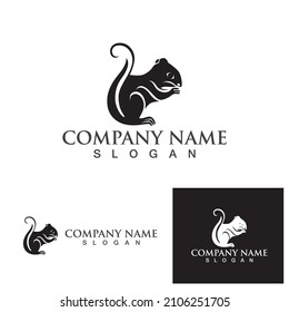 squirrel logo and symbols vector