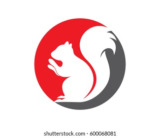 Squirrel logo template