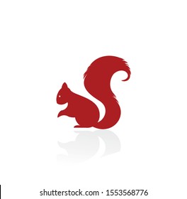 Squirrel Logo Template Design Vector Illustration Sign
