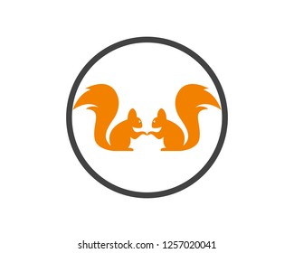 Squirrel logo template illustration design