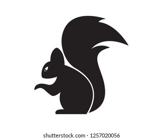 Squirrel logo template illustration design