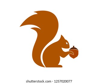 Squirrel logo template illustration design