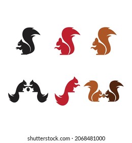 Squirrel logo template illustration design