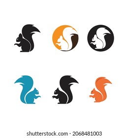 Squirrel logo template illustration design