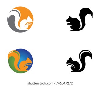 Squirrel logo template vector icon illustration design