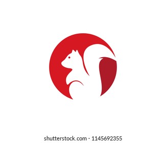 squirrel logo vector icon 