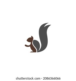 Squirrel logo vector icon design illustration template