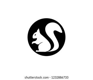 squirrel logo vector icon illustration design 
