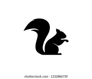 squirrel logo vector icon illustration design 
