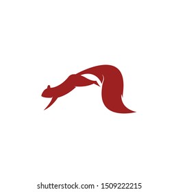 squirrel logo vector icon illustration design