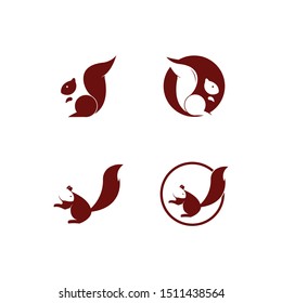 squirrel logo vector icon illustration design